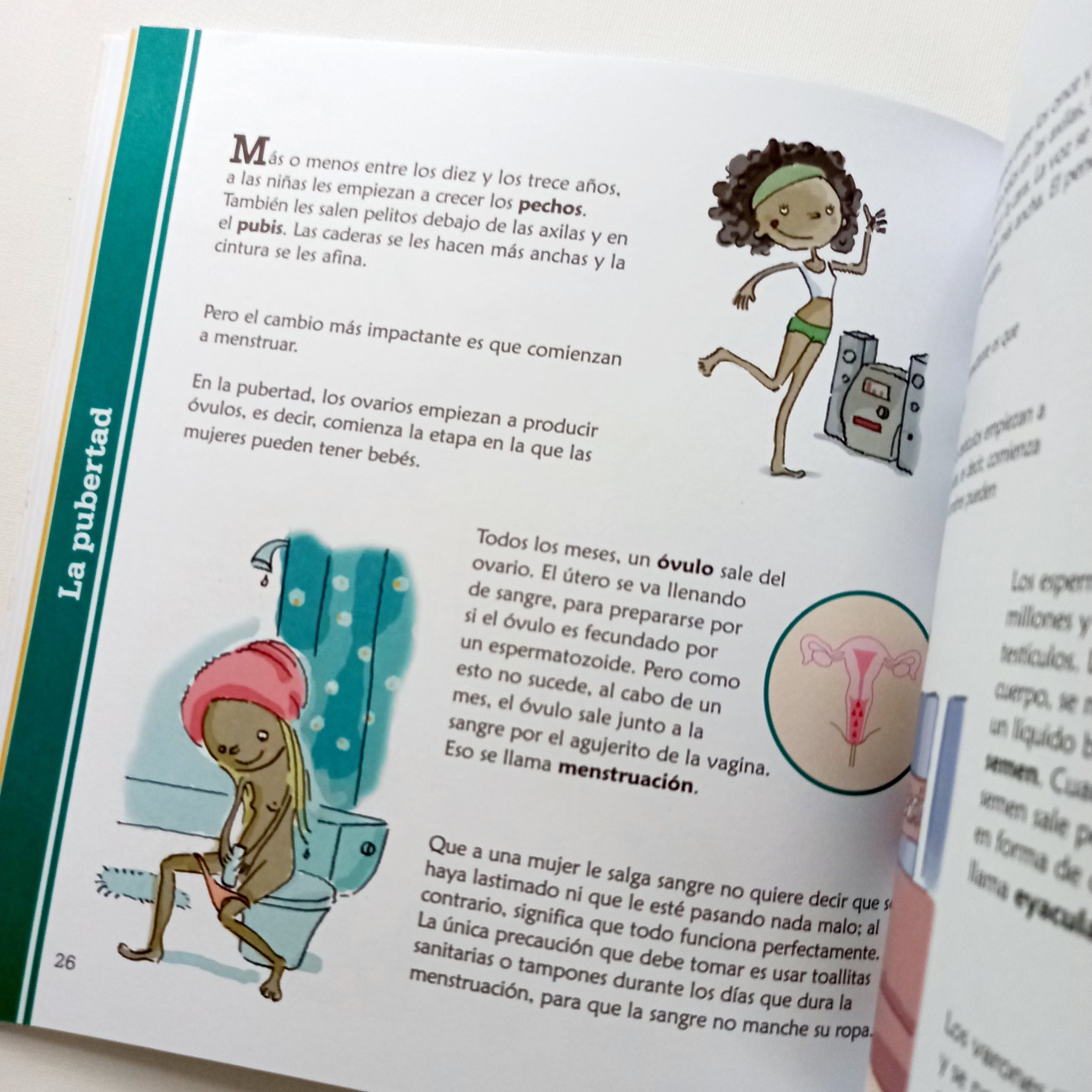 Qué es esto? La sexualidad explicada para niños Qué es esto? La sexualidad explicada para niños